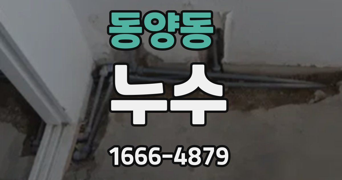 동양동 누수