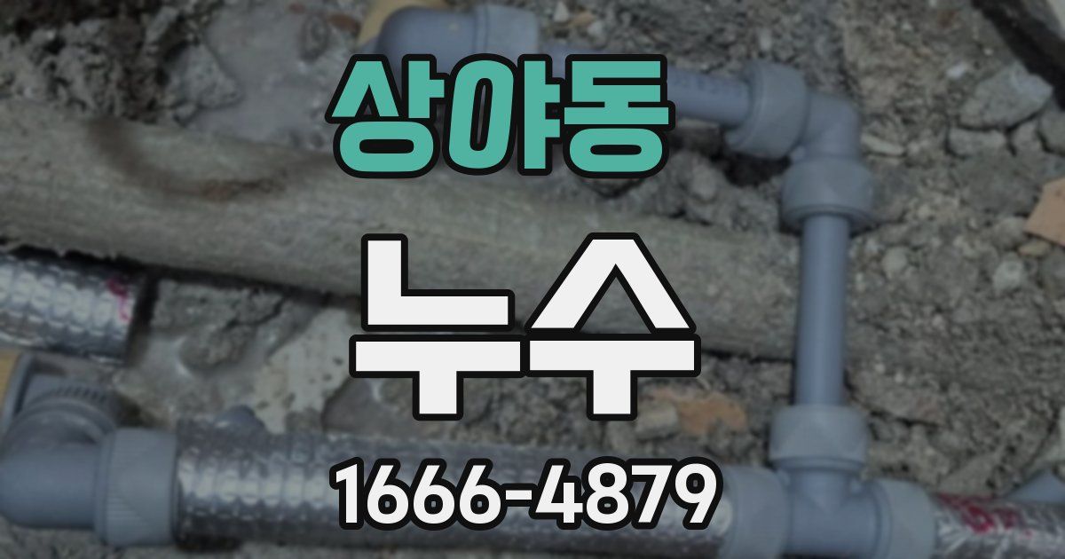 상야동 누수