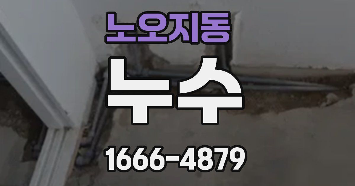 노오지동 누수