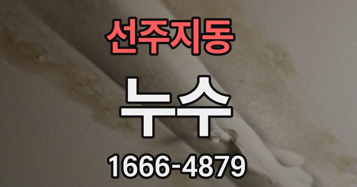선주지동 누수
