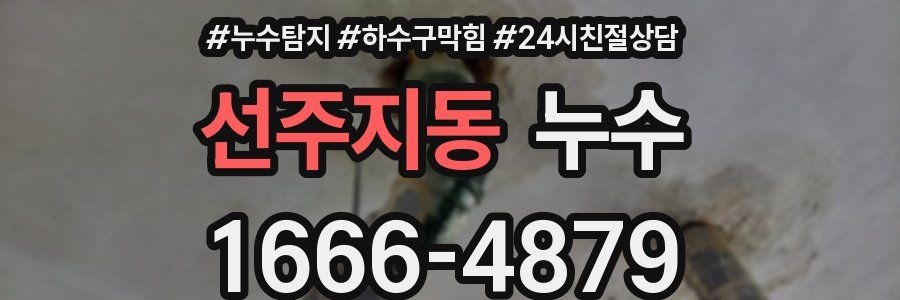선주지동 누수