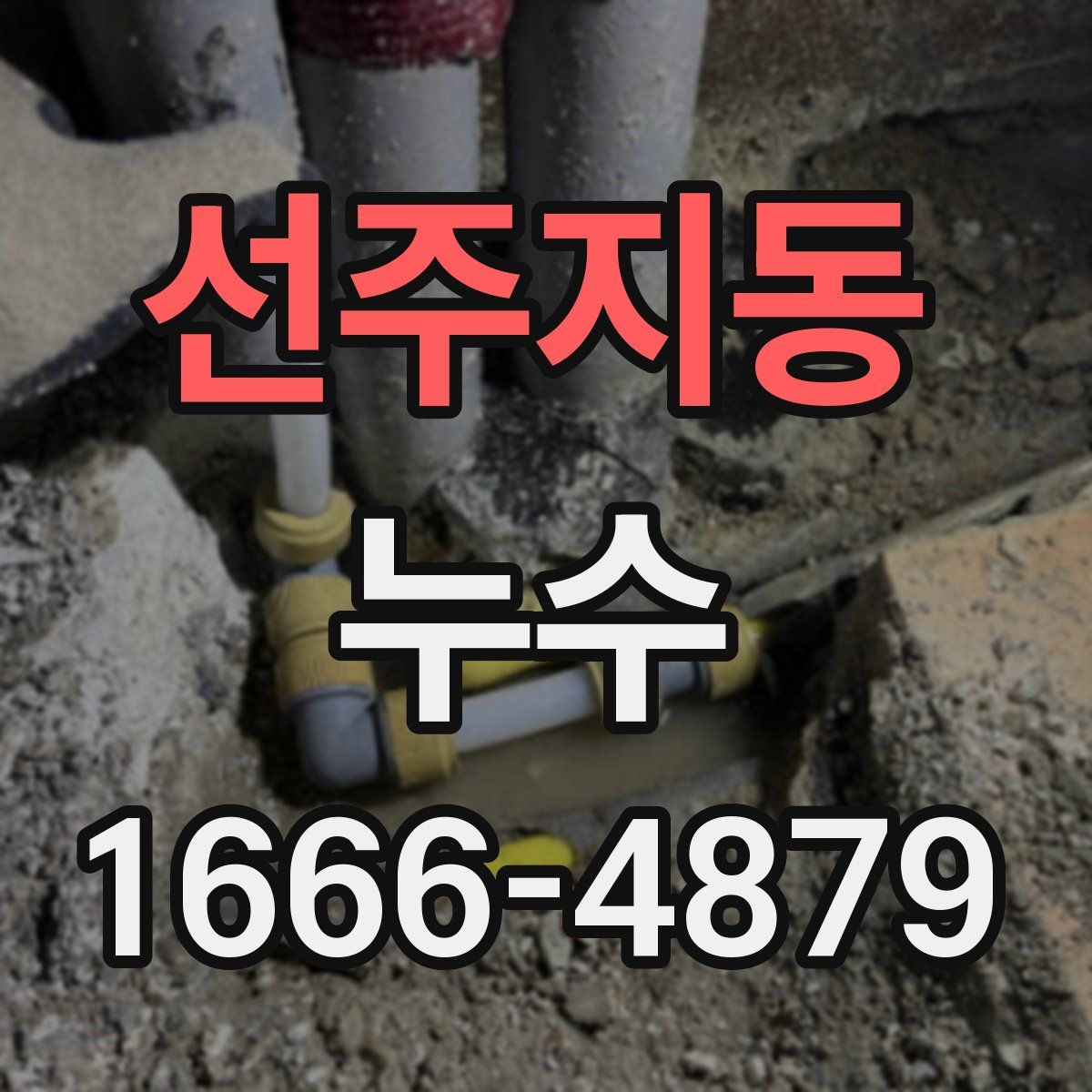 선주지동 누수