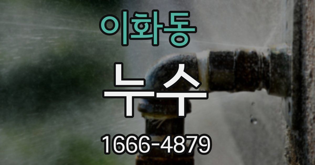 이화동 누수