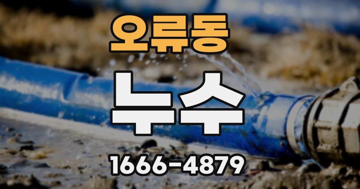 오류동 누수