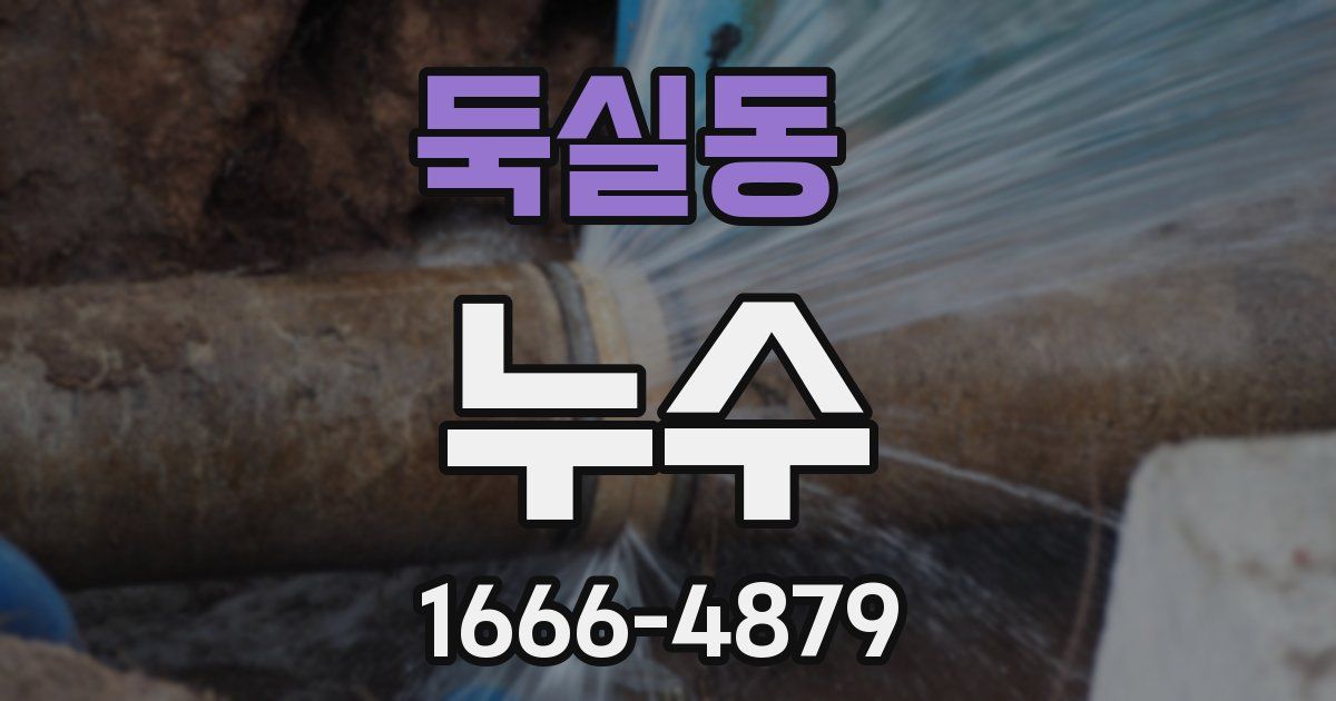 둑실동 누수