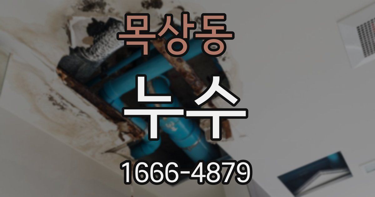 목상동 누수