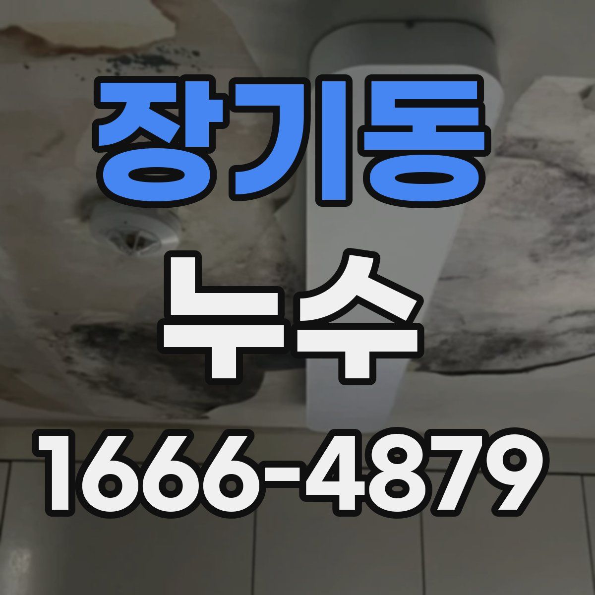 장기동 누수