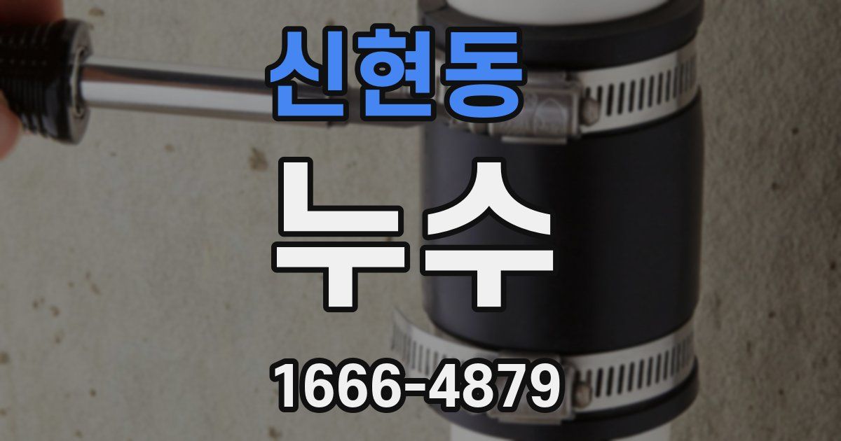 신현동 누수
