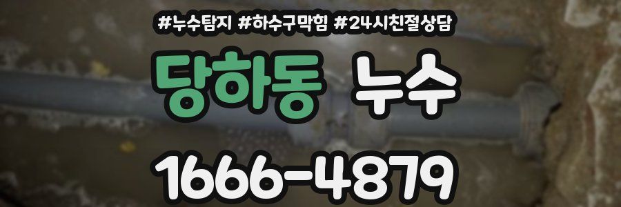 당하동 누수
