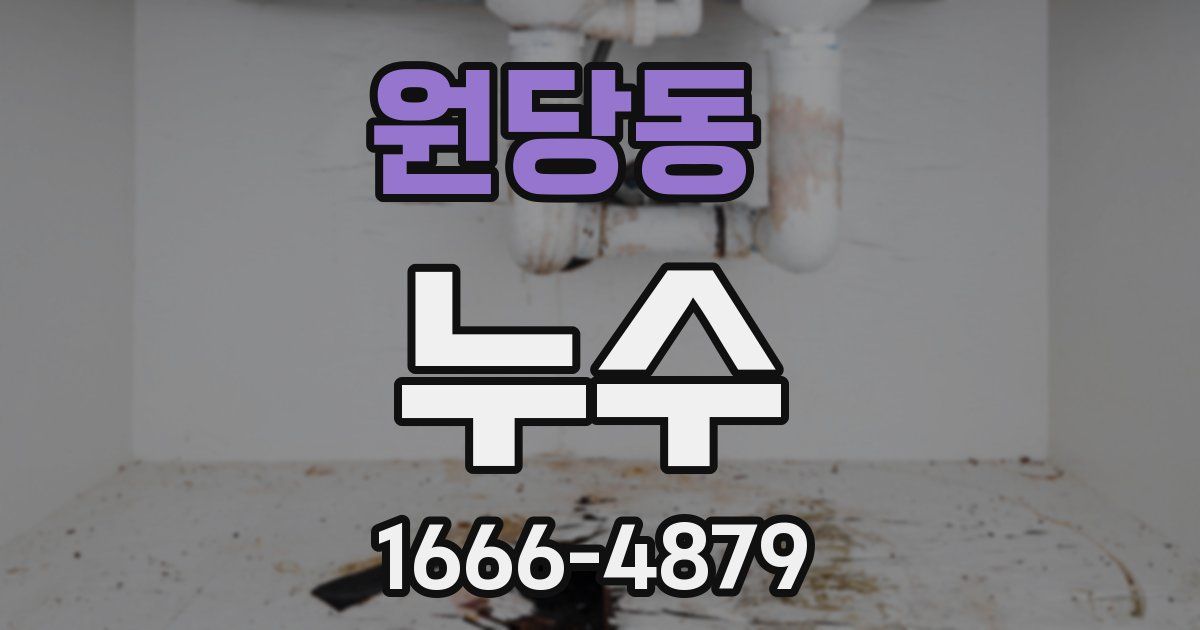 원당동 누수