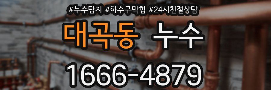 대곡동 누수