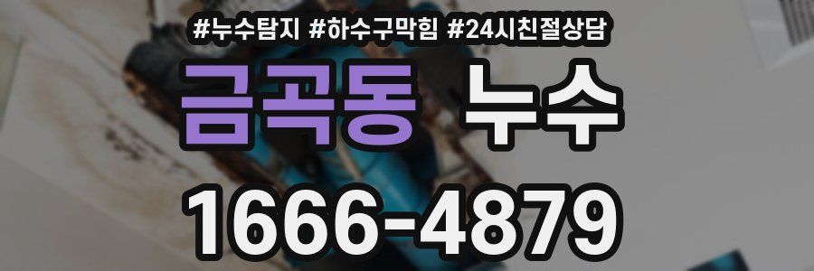 금곡동 누수