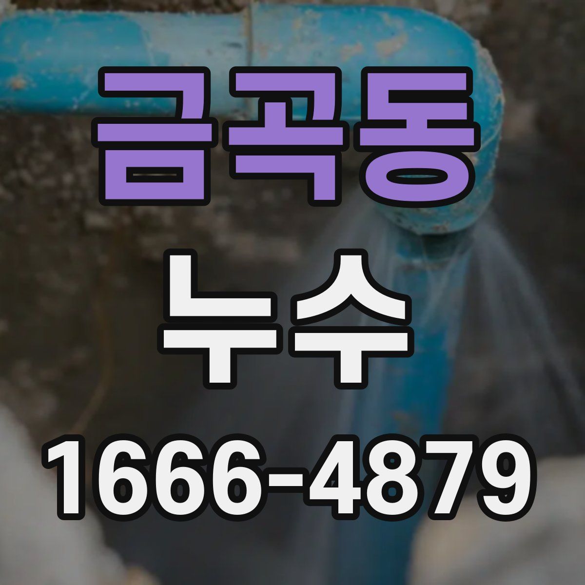 금곡동 누수