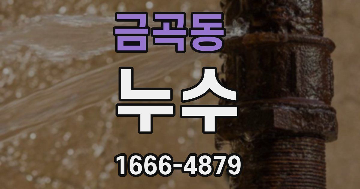금곡동 누수