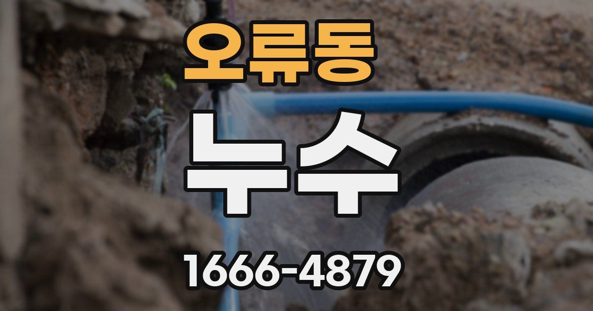 오류동 누수