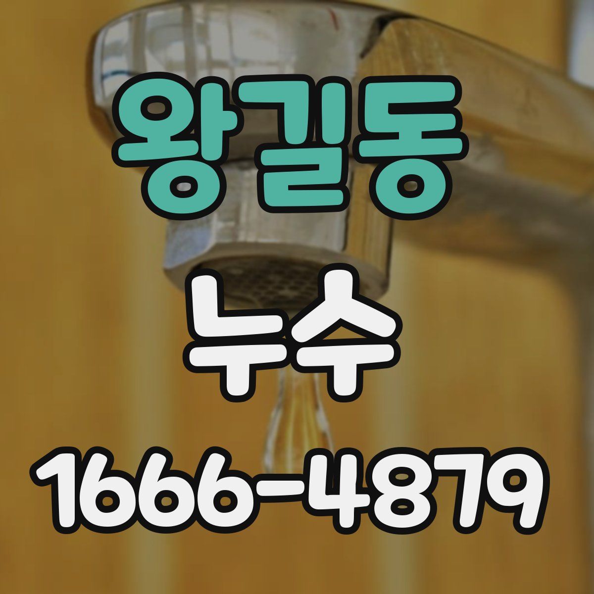 왕길동 누수