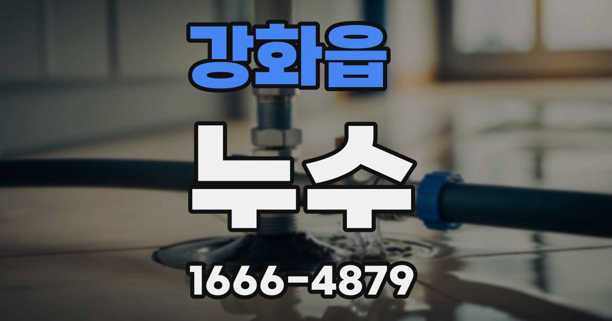 강화읍 누수