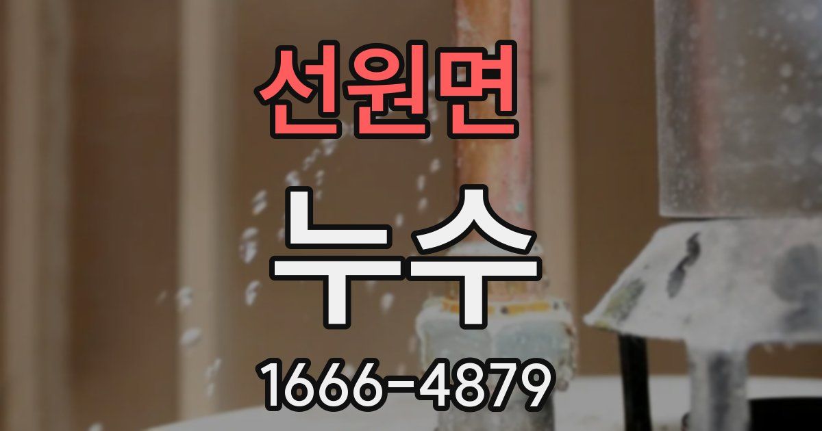 선원면 누수