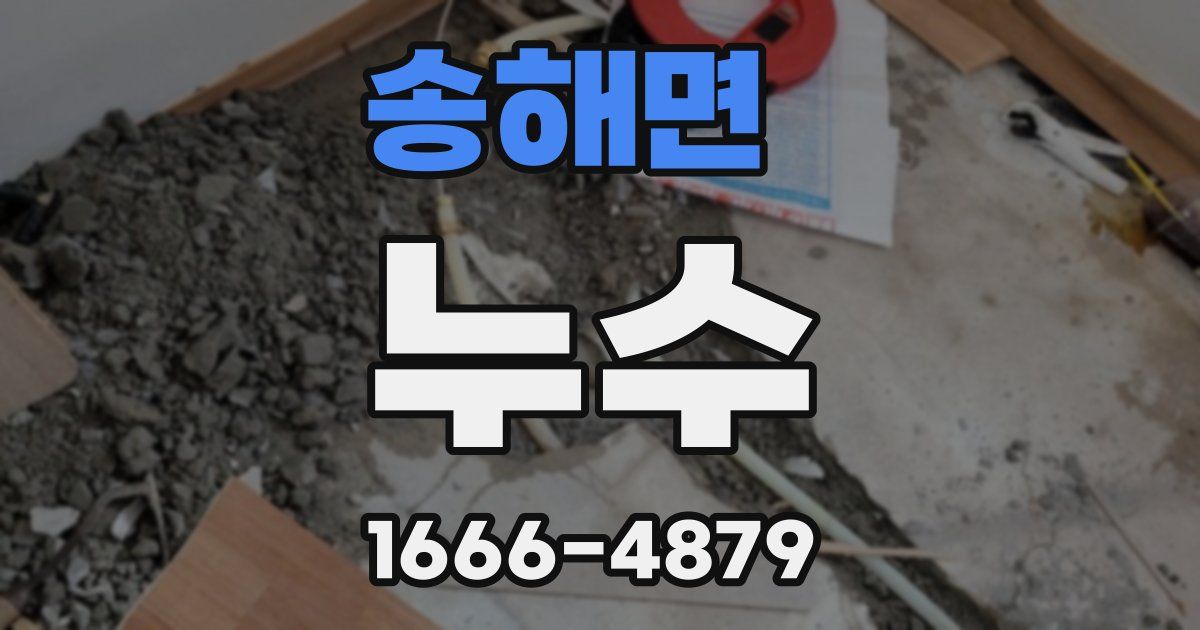 송해면 누수