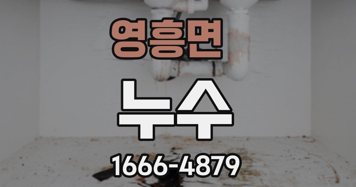 영흥면 누수