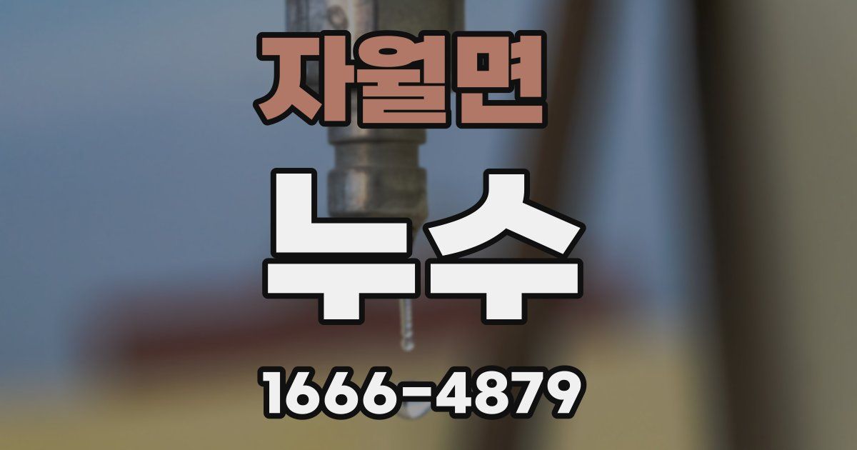 자월면 누수