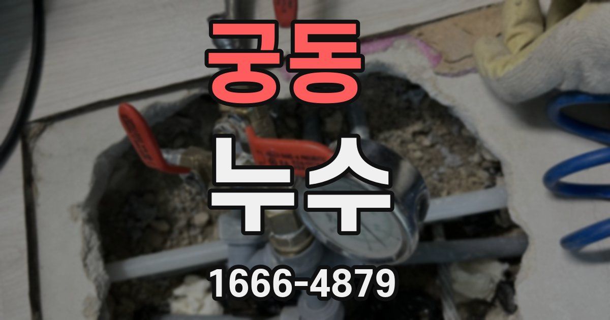 궁동 누수