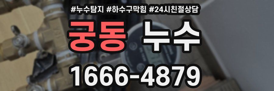 궁동 누수