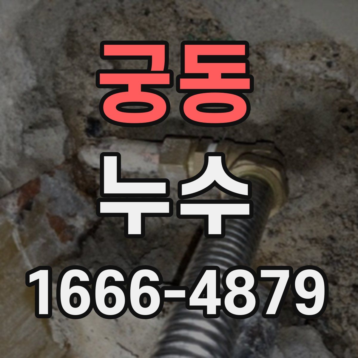 궁동 누수