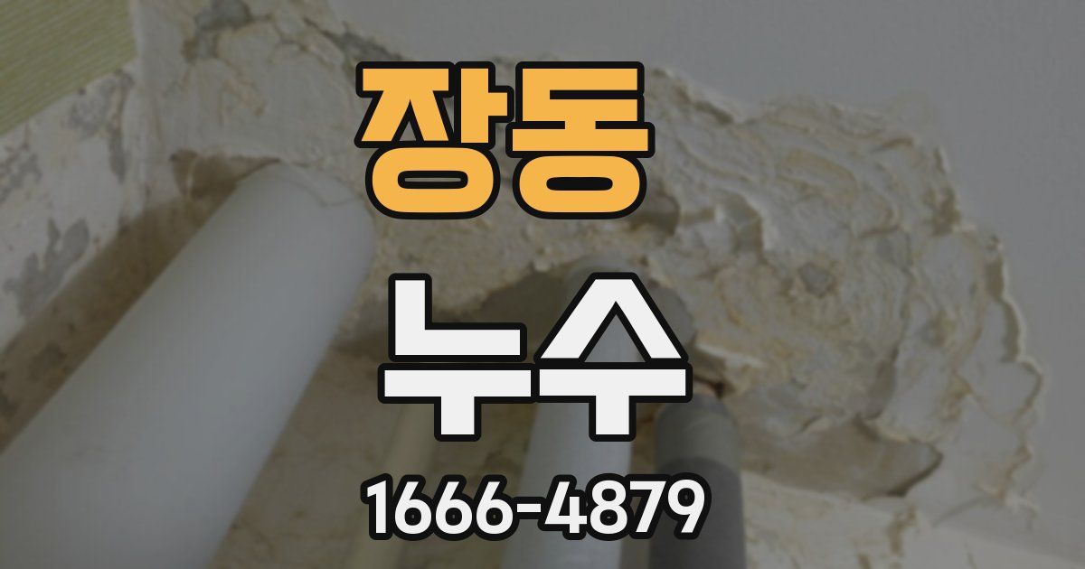 장동 누수