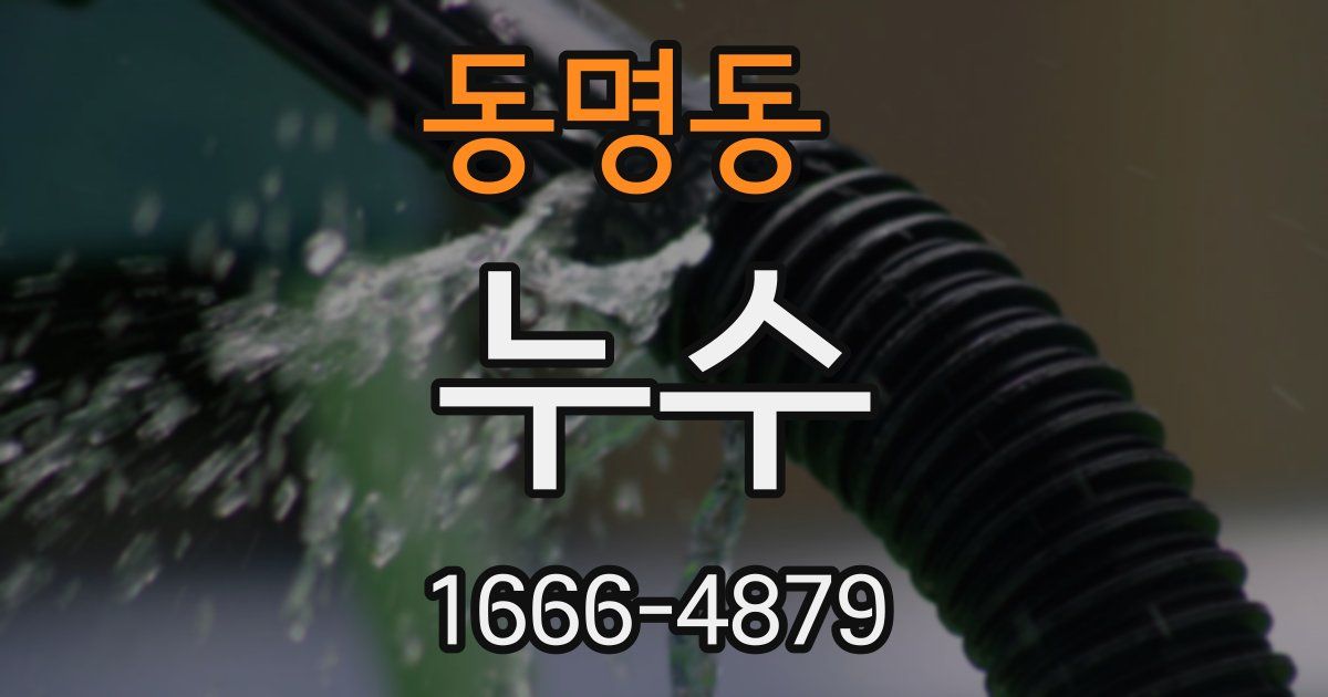 동명동 누수