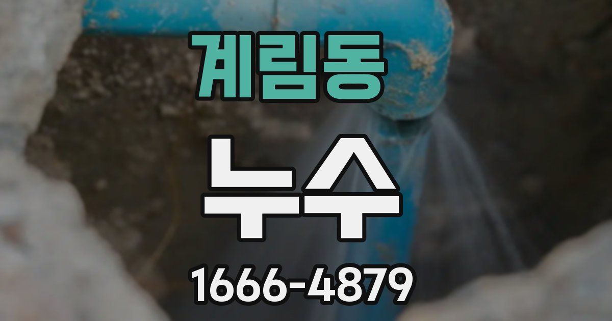 계림동 누수