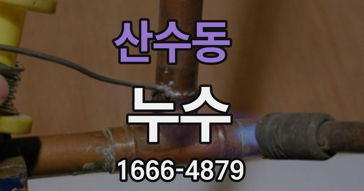 산수동 누수