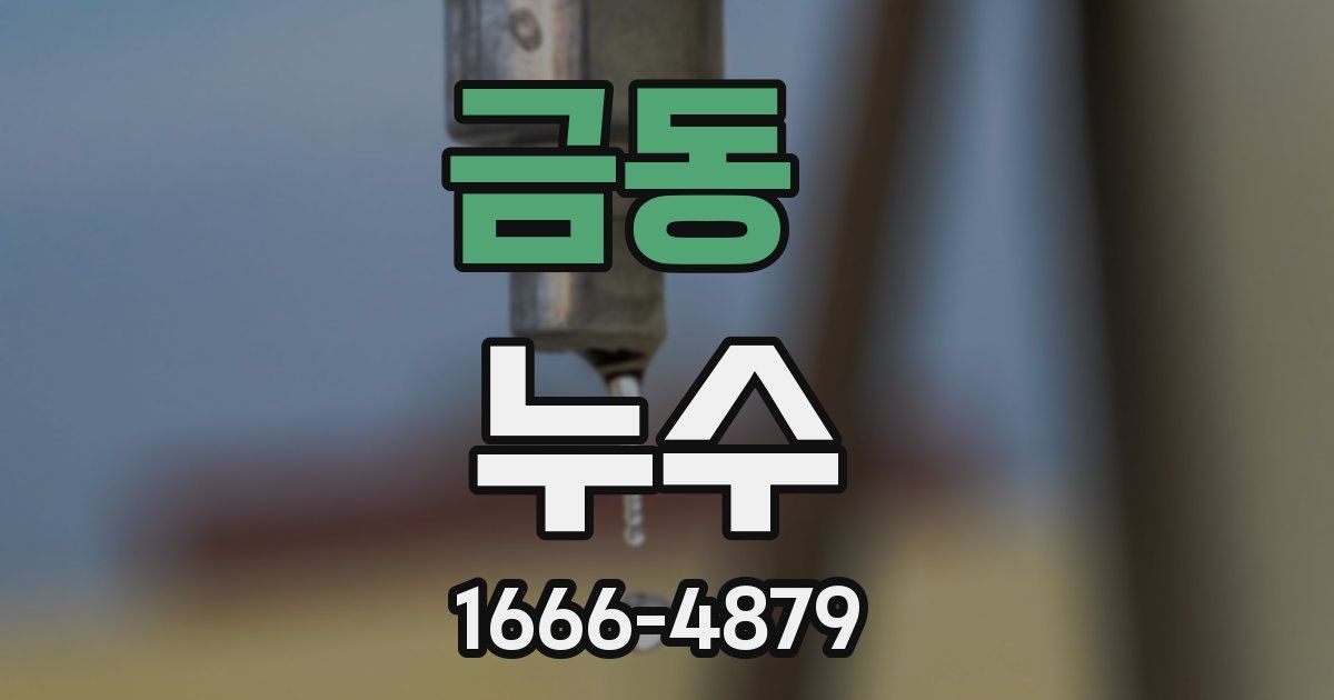 금동 누수