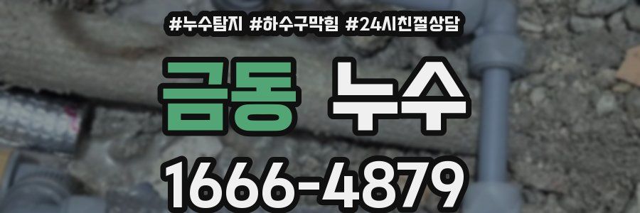 금동 누수