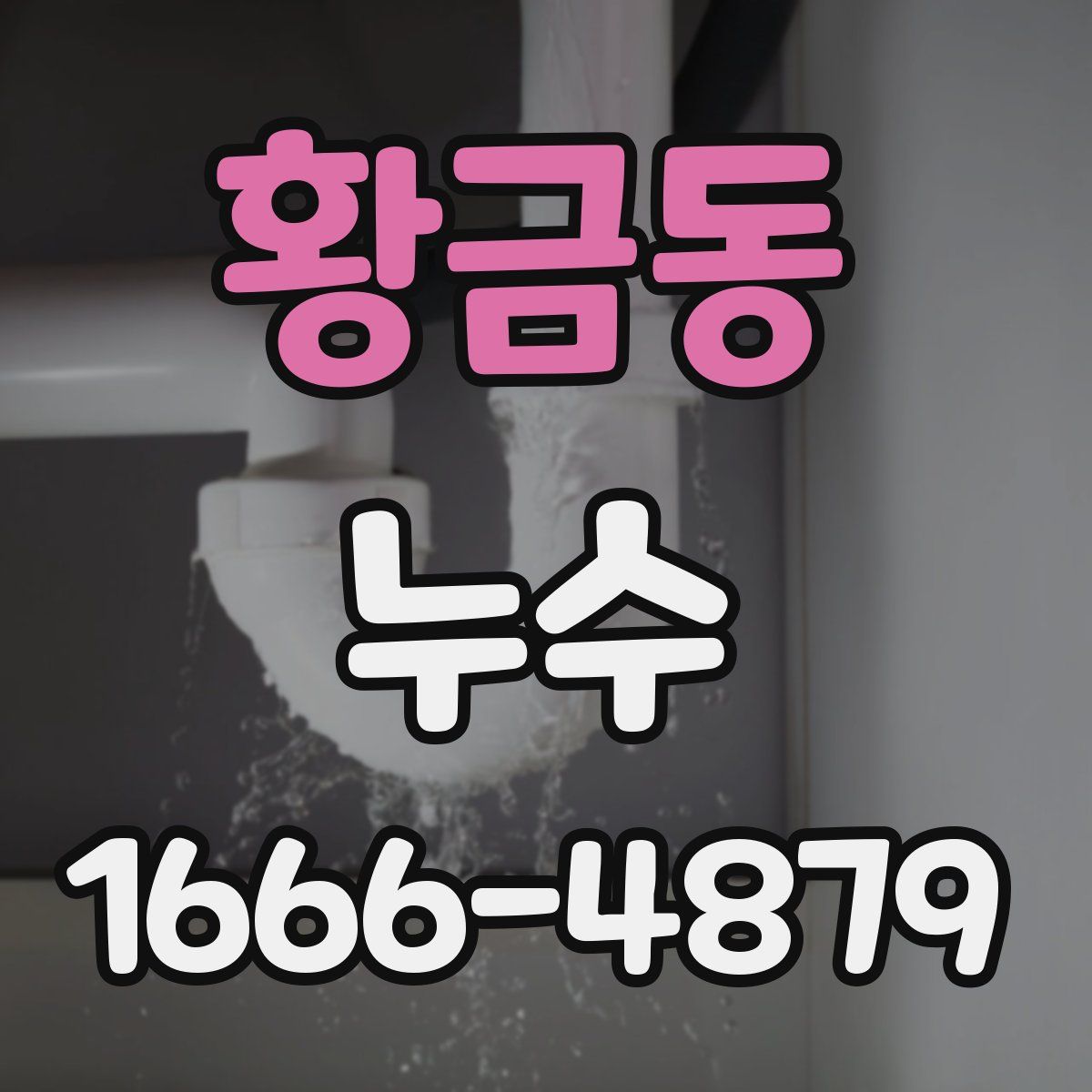 황금동 누수