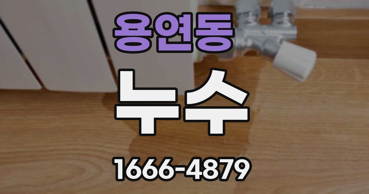 용연동 누수