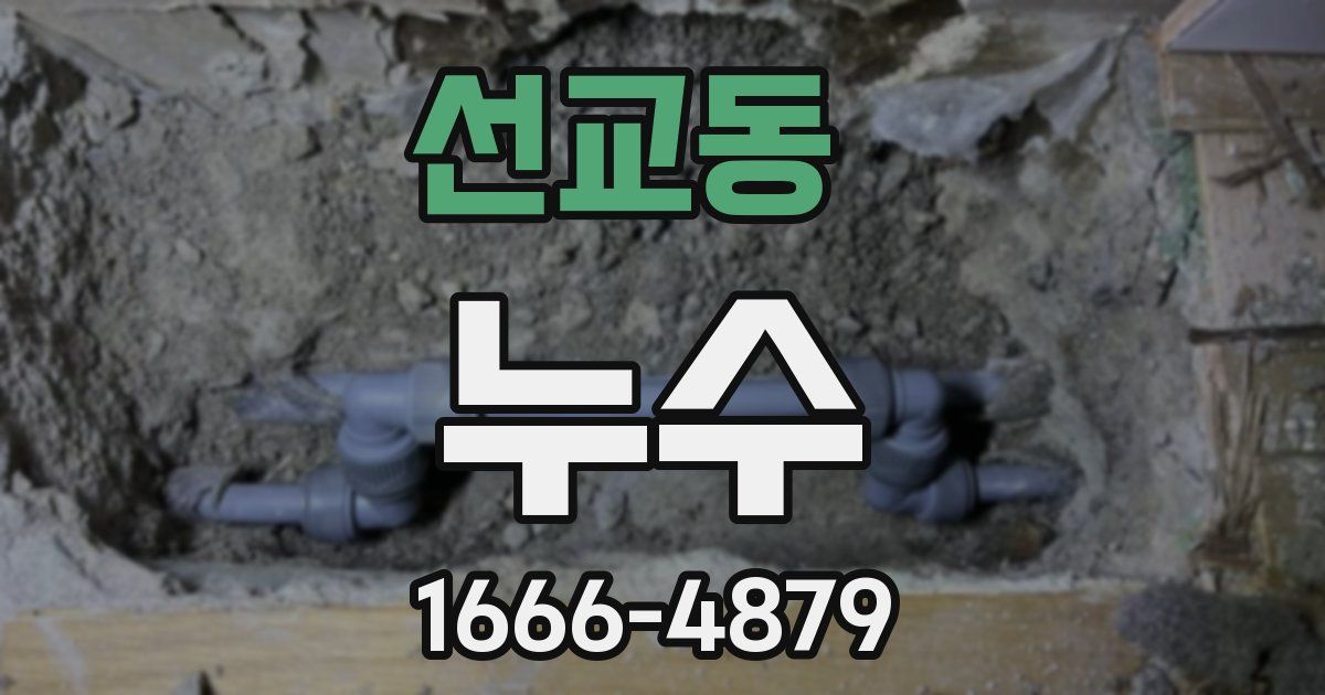 선교동 누수