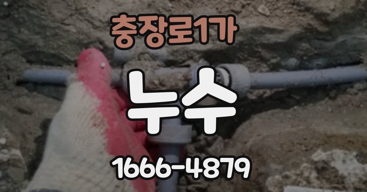 충장로1가 누수