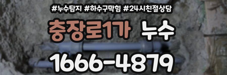 충장로1가 누수