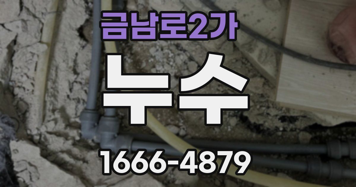 금남로2가 누수