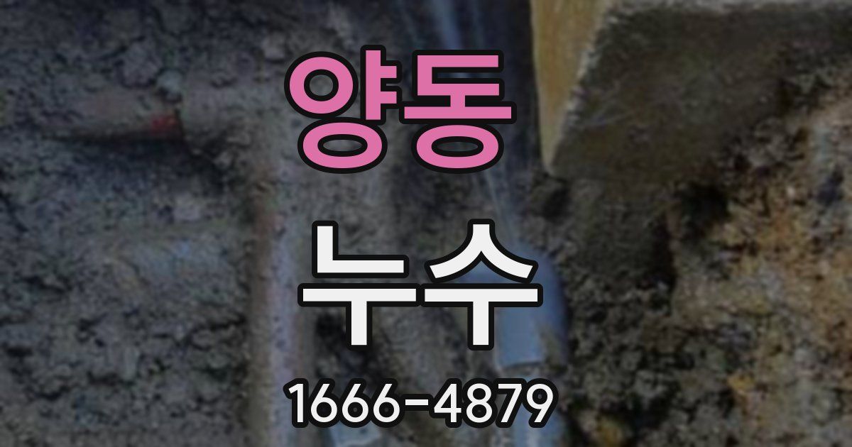 양동 누수