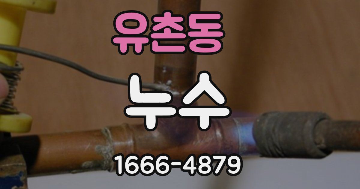 유촌동 누수