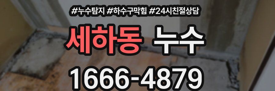 세하동 누수