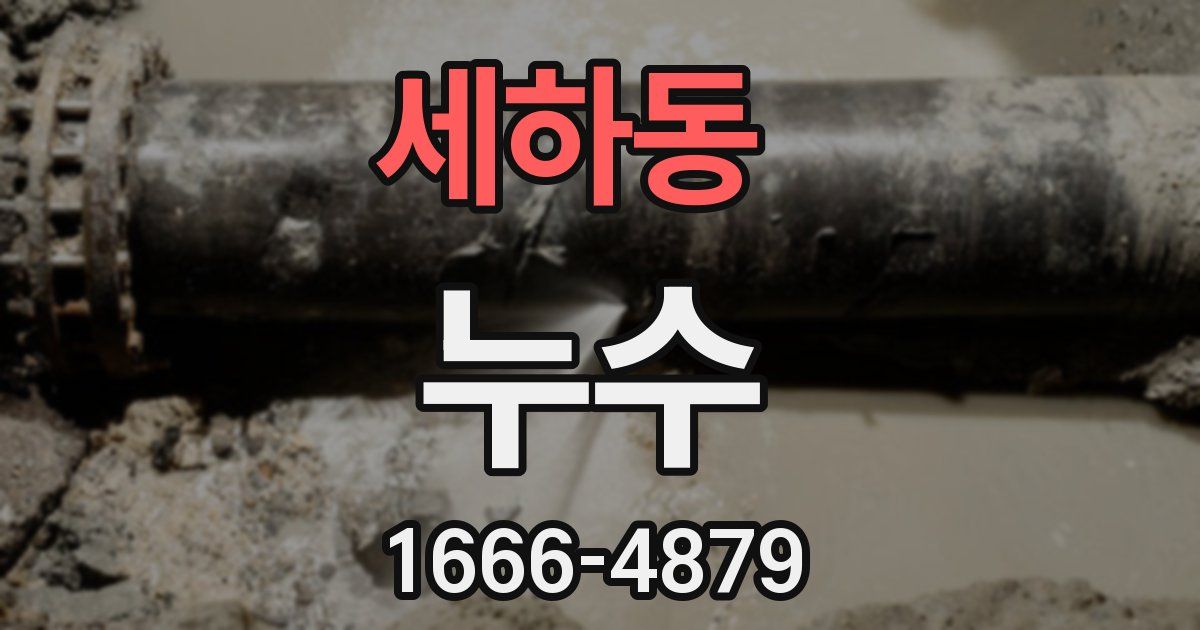 세하동 누수