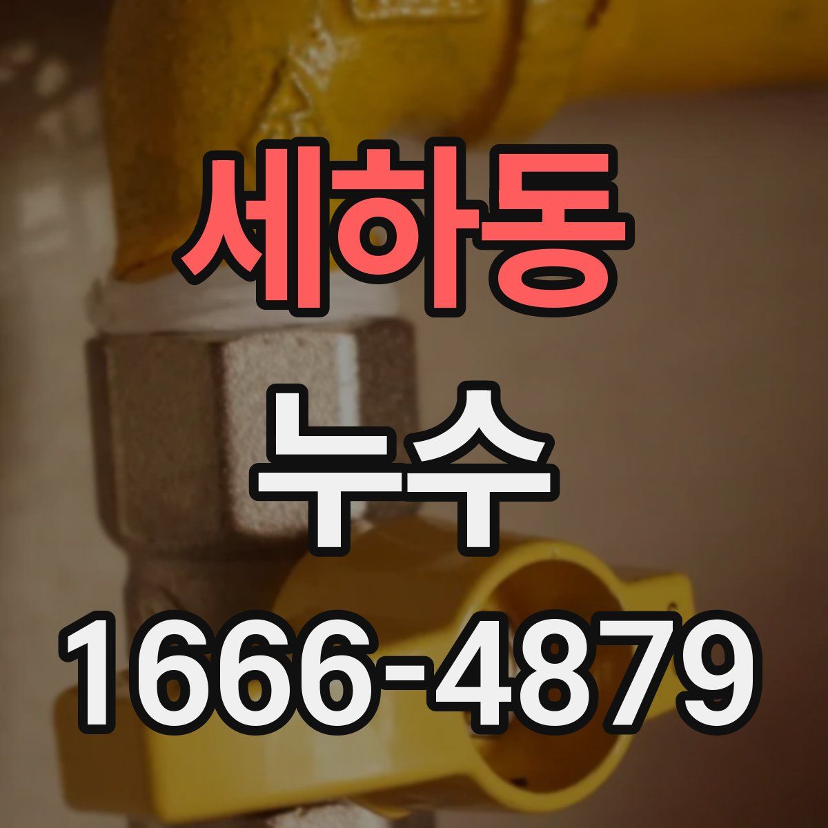 세하동 누수