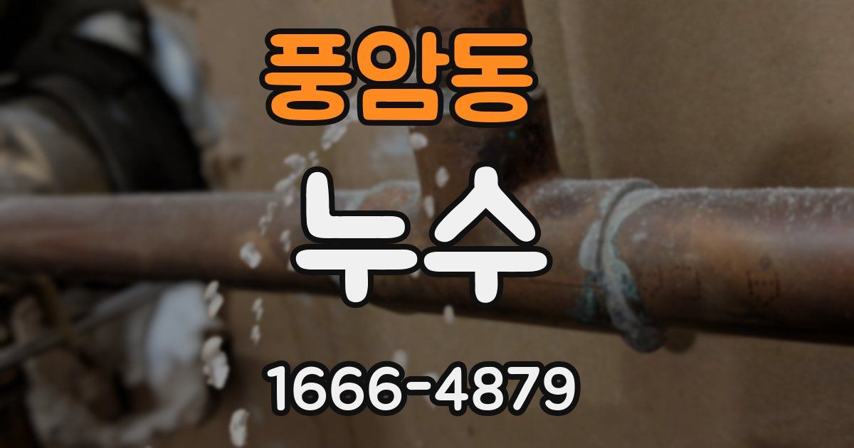 풍암동 누수