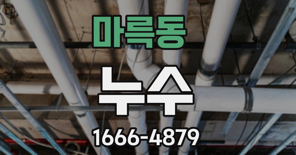 마륵동 누수