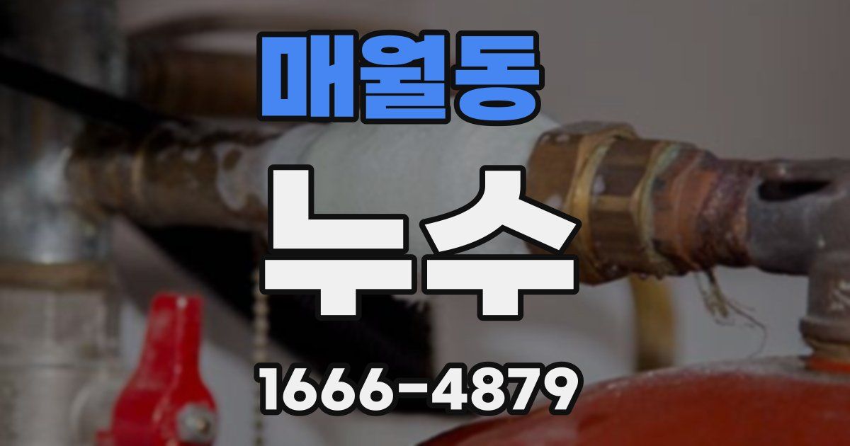 매월동 누수