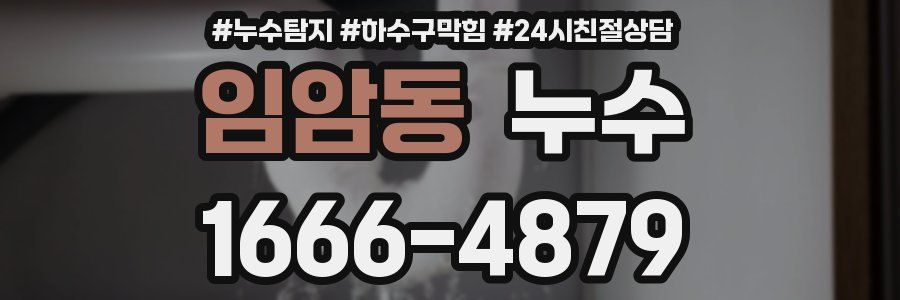 임암동 누수