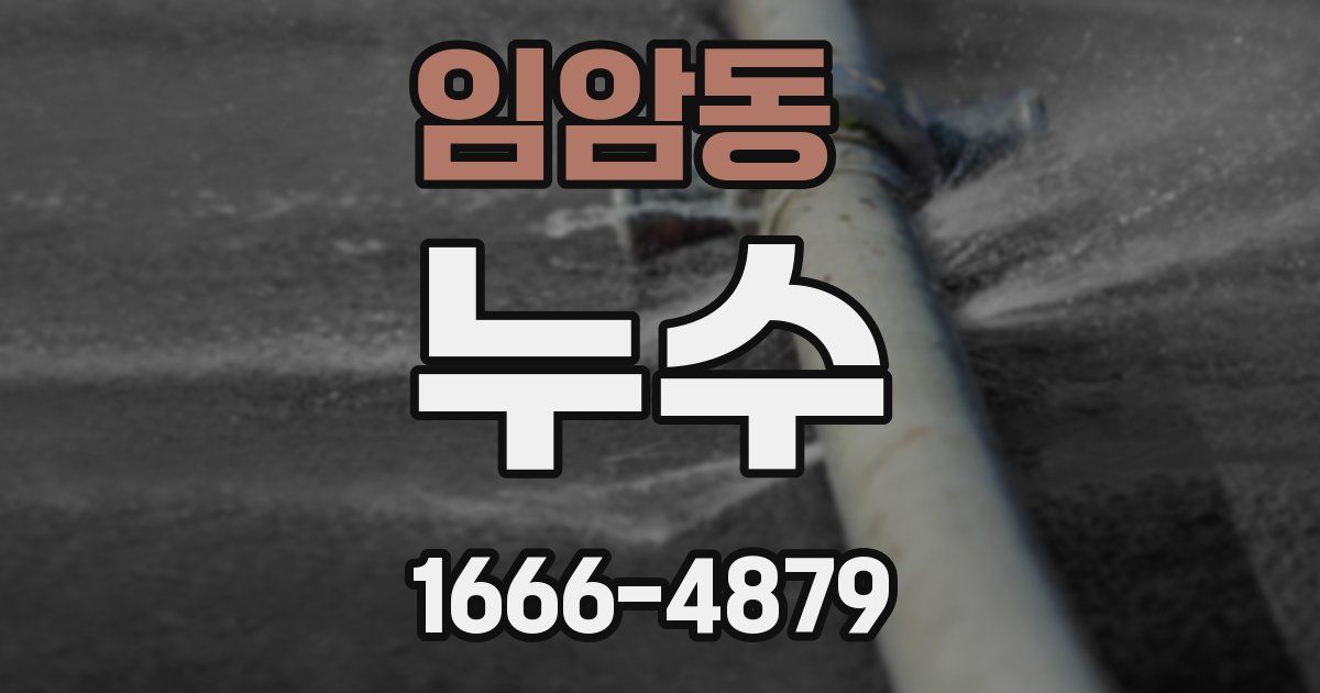 임암동 누수